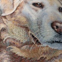 Poszewka gobelinowa Labrador 45x45